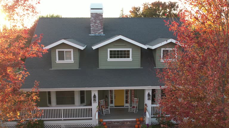 Best Chimney Flashing Repair  in Swedeland, PA